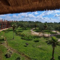 Disney Animal Kingdom Lodge