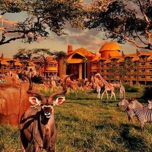 Disney Animal Kingdom Lodge
