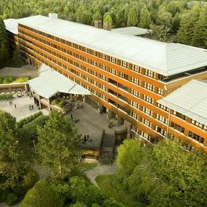 Disney Sequoia Lodge