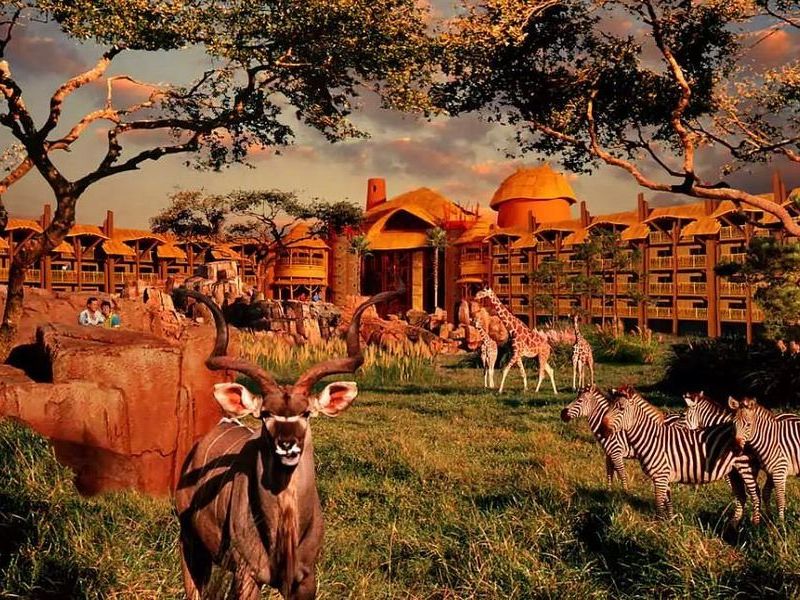 Disney Animal Kingdom Lodge
